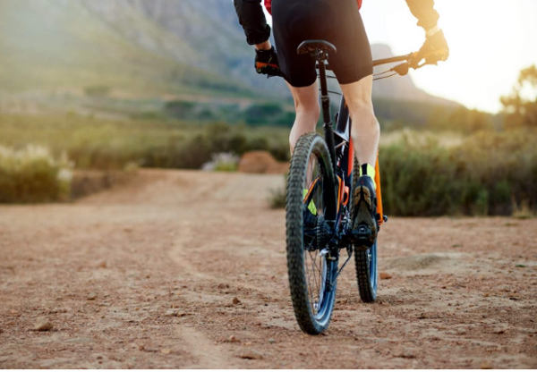 Cẩm nang chọn yên xe đạp thể thao cao cấp siêu êm mềm không đau mông